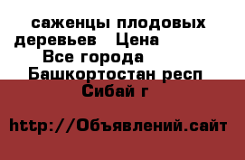 саженцы плодовых деревьев › Цена ­ 6 080 - Все города  »    . Башкортостан респ.,Сибай г.